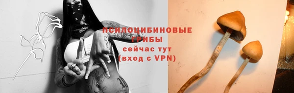 соль курить ск Алзамай