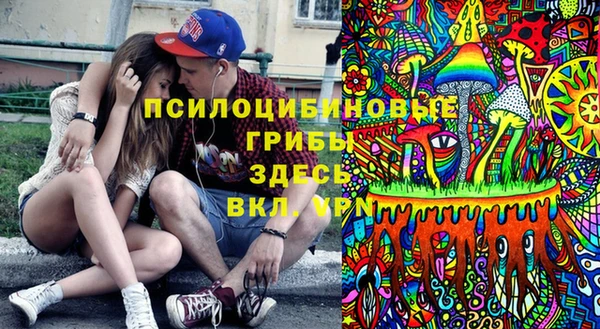 альфа пвп Алексеевка