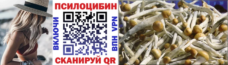 Купить Нижнекамск Псилоцибиновые грибы MAGIC MUSHROOMS